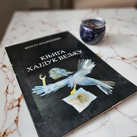 Daire Urban Nest Negotin