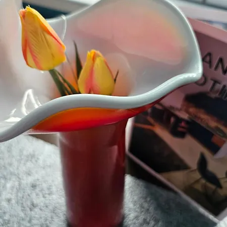 Urban Nest * Negotin