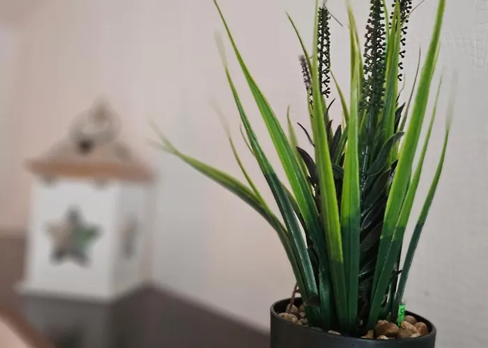 Appartement Urban Nest *