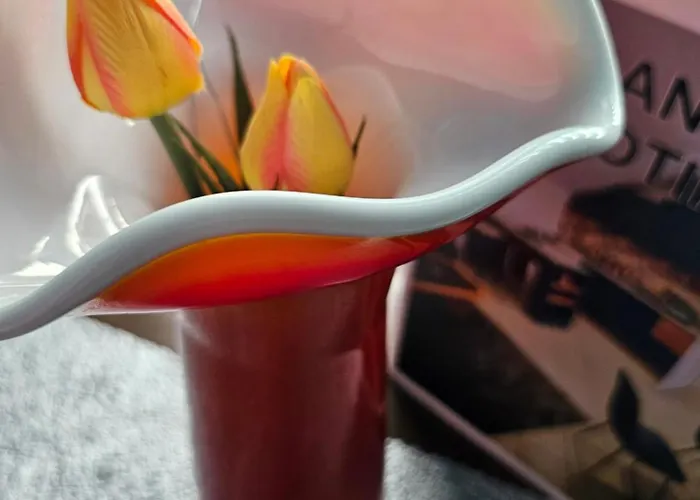 Urban Nest * Negotin